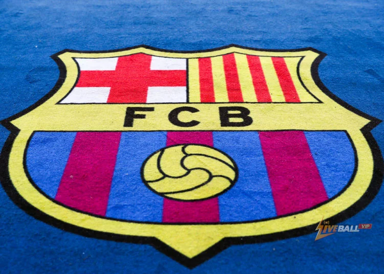 Tottenham, Barcelona cạnh tranh ký hợp đồng với Serhou Guirassy