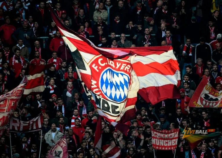Bayern Munich ramping up efforts to sign Elliot Anderson