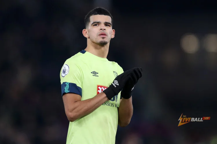 ท็อตแนมกำหนดราคา Dominic Solanke ท่ามกลางการเชื่อมโยงกับ Newcastle United