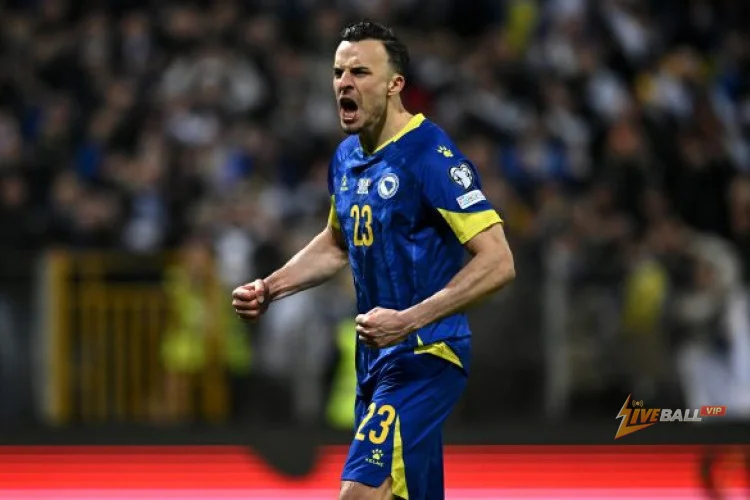 Haris Tabaković บอสเนียของฮอฟเฟ่นไฮม์ อยู่ในเรดาร์ของลีลล์