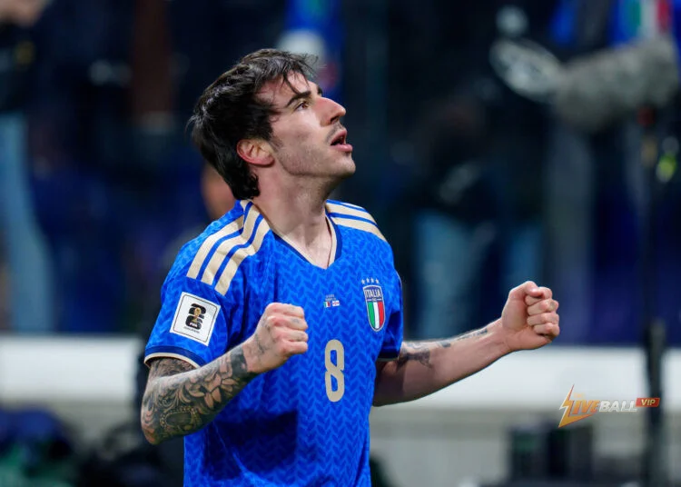 Tottenham ưu tiên chuyển nhượng mùa hè cho Sandro Tonali, xem Mateus Fernandes là mục tiêu dự phòng.