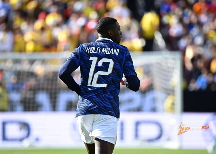 Tottenham đứng sau Juventus trong cuộc đua giành Randal Kolo Muani.