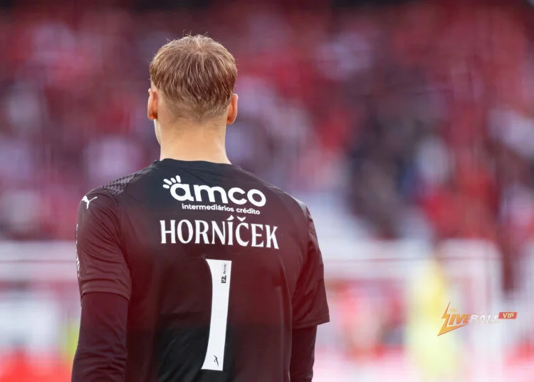Newcastle United set to sign Lukas Hornicek as deal agreed
