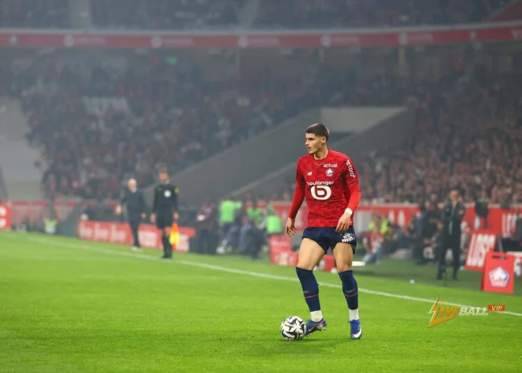 Arsenal, Chelsea cạnh tranh giành Matias Fernandez-Pardo, Liverpool xem anh như sự thay thế cho Bradley Barcola.